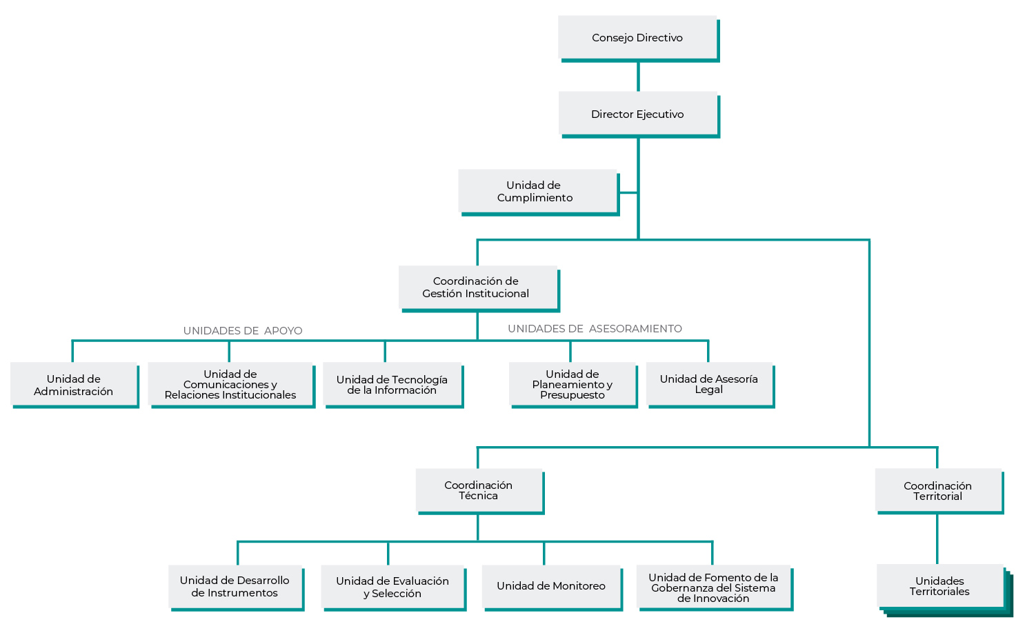 organigramaProInnovate