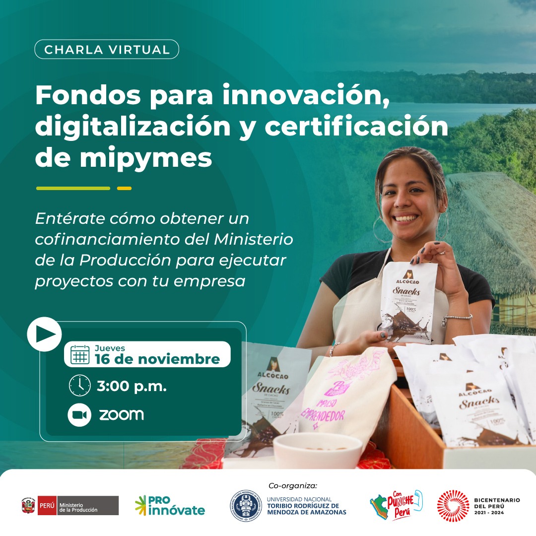 Charla informativa sobre fondos de cofinanciamiento de ProInnóvate para innovación y digitalización para las mipymes